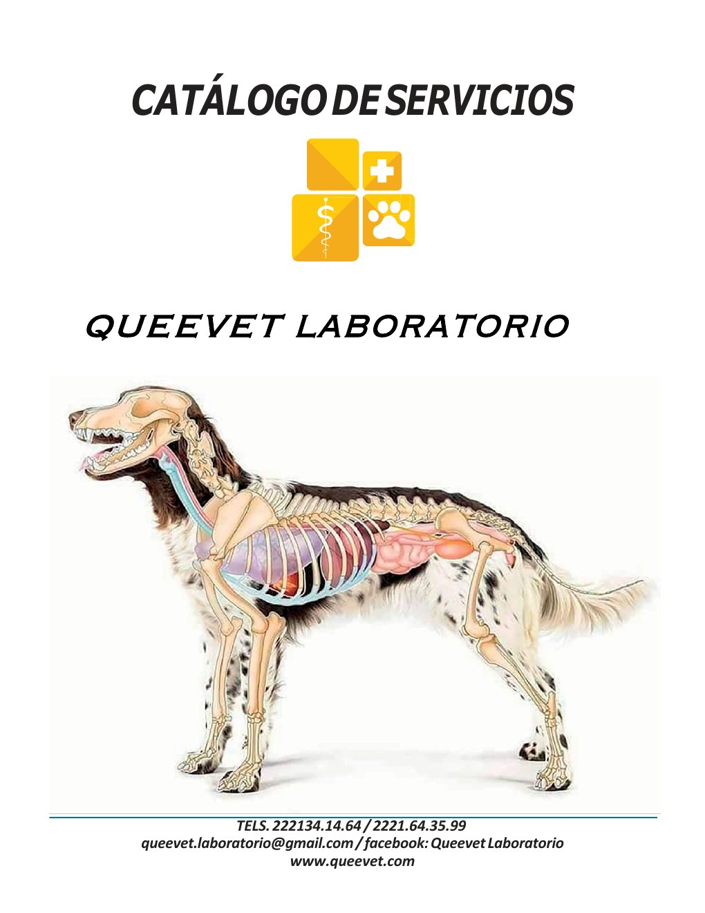 Portada del catálogo de servicios de Queevet Laboratorio